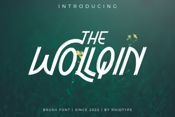 The Wollqin: A Brush Display Font for Modern Web Design