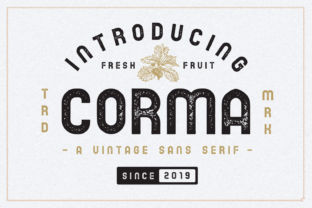 Why Corma Family Is the Sans Serif Font Campaigns Need